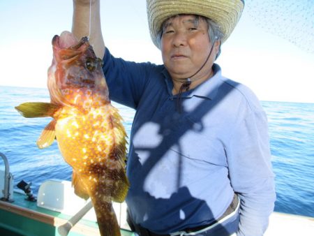 真祐丸 (しんゆうまる) 釣果