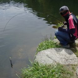 平谷湖フィッシングスポット 釣果