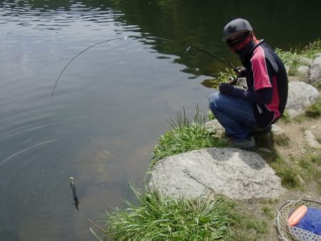 平谷湖フィッシングスポット 釣果