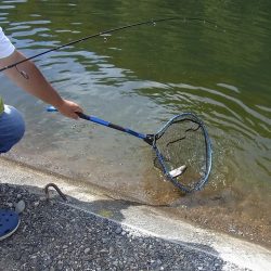 平谷湖フィッシングスポット 釣果