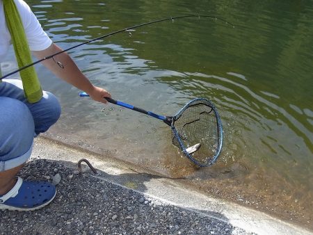 平谷湖フィッシングスポット 釣果