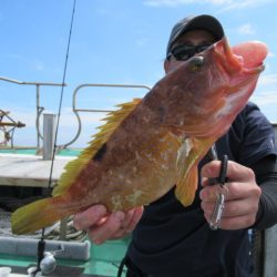 真祐丸 (しんゆうまる) 釣果