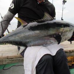 真祐丸 (しんゆうまる) 釣果