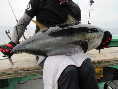 真祐丸 (しんゆうまる) 釣果