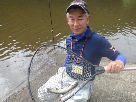 平谷湖フィッシングスポット 釣果