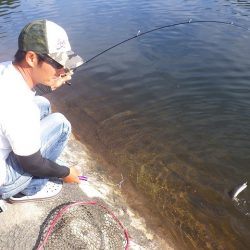 平谷湖フィッシングスポット 釣果