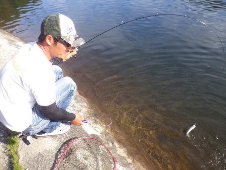 平谷湖フィッシングスポット 釣果