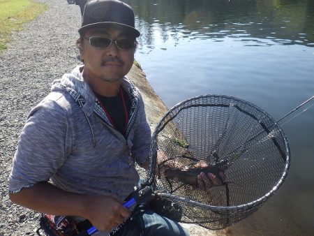 平谷湖フィッシングスポット 釣果