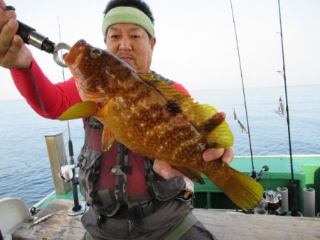 真祐丸 (しんゆうまる) 釣果