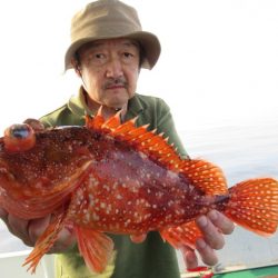 真祐丸 (しんゆうまる) 釣果