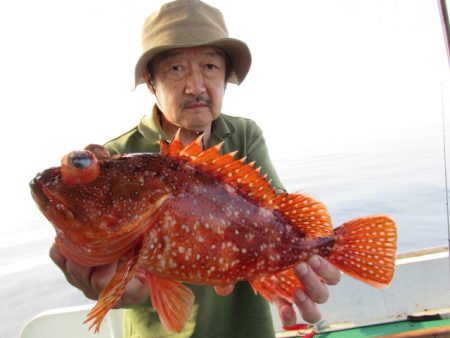 真祐丸 (しんゆうまる) 釣果