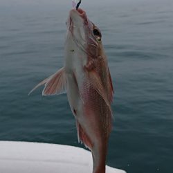 遊漁船 家入 釣果