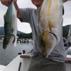 JDI Racing シールズマリンレジャー 釣果