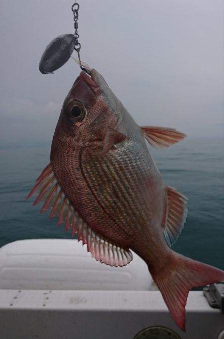 遊漁船 家入 釣果