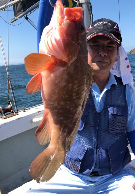 フィッシング キッタカ 釣果