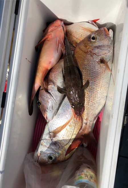 フィッシング キッタカ 釣果