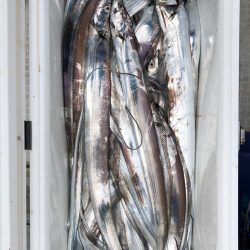 フィッシング キッタカ 釣果