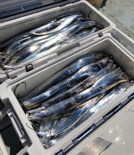 フィッシング キッタカ 釣果