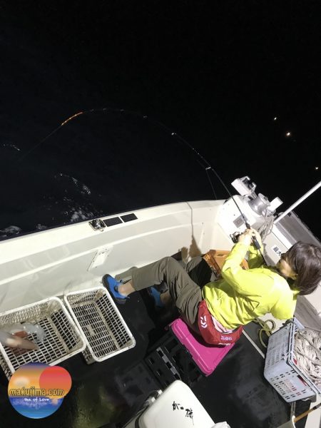 幕島丸 釣果