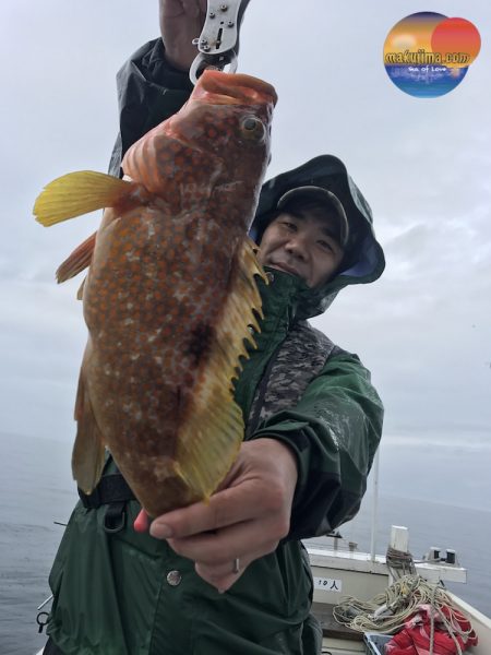 幕島丸 釣果