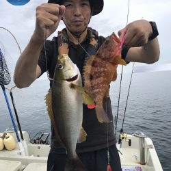 幕島丸 釣果