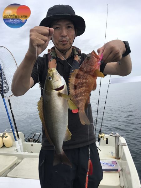 幕島丸 釣果