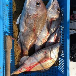 フィッシング キッタカ 釣果