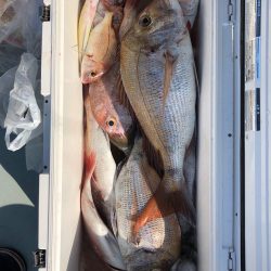 フィッシング キッタカ 釣果