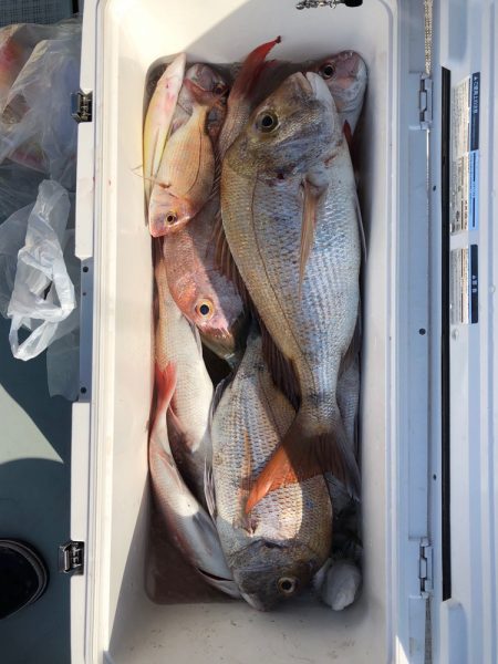 フィッシング キッタカ 釣果