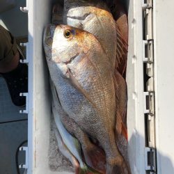 フィッシング キッタカ 釣果