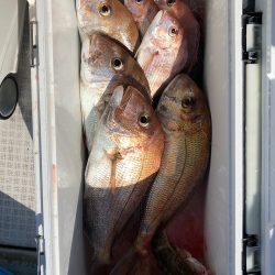 フィッシング キッタカ 釣果