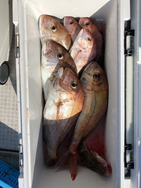 フィッシング キッタカ 釣果