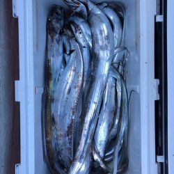 フィッシング キッタカ 釣果