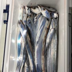 フィッシング キッタカ 釣果