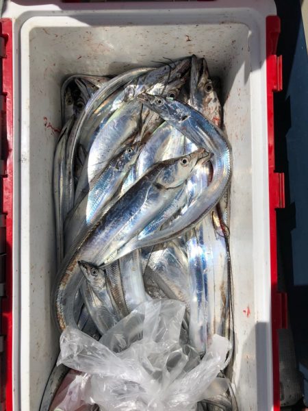 フィッシング キッタカ 釣果