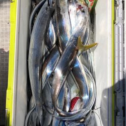 フィッシング キッタカ 釣果