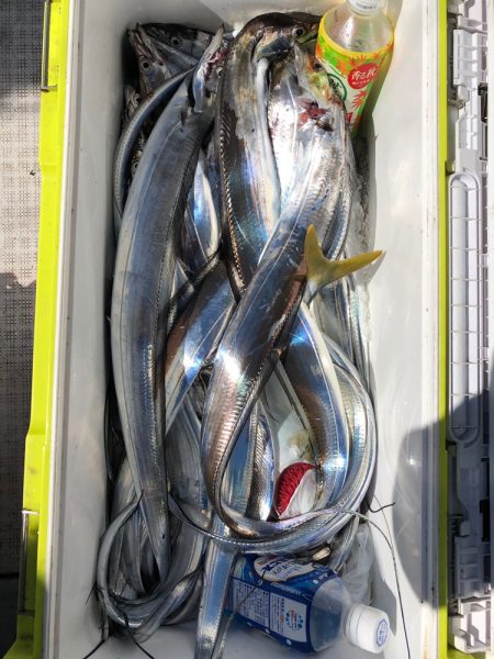 フィッシング キッタカ 釣果