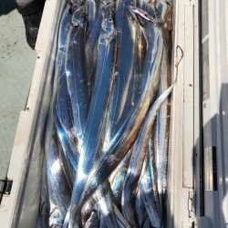 フィッシング キッタカ 釣果