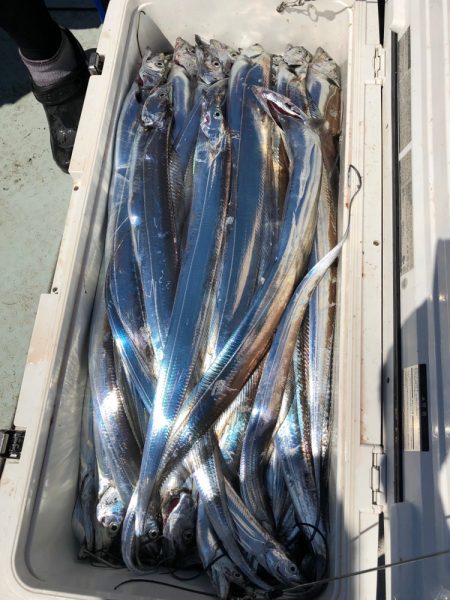 フィッシング　キッタカ 釣果