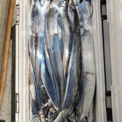 フィッシング キッタカ 釣果