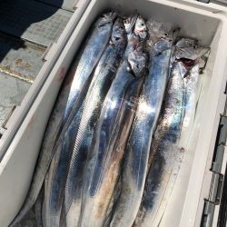 フィッシング キッタカ 釣果