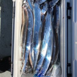 フィッシング キッタカ 釣果