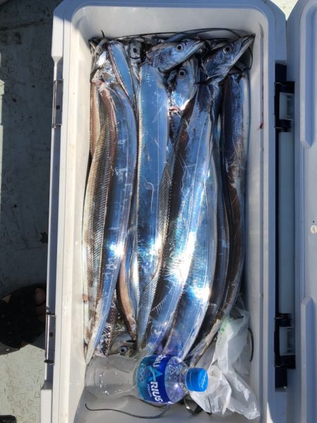 フィッシング キッタカ 釣果