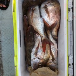 フィッシング キッタカ 釣果