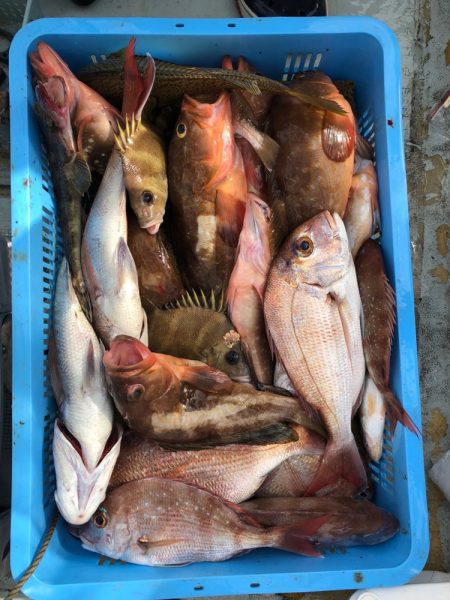 フィッシング キッタカ 釣果