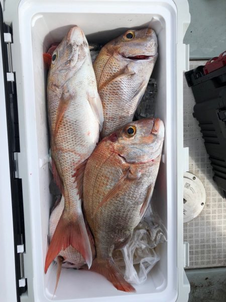 フィッシング キッタカ 釣果