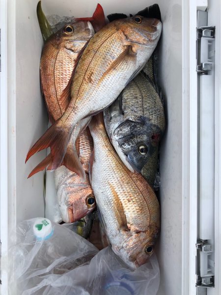 フィッシング キッタカ 釣果