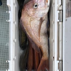 フィッシング キッタカ 釣果