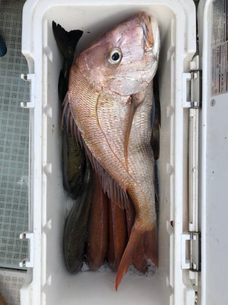 フィッシング キッタカ 釣果