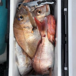 フィッシング キッタカ 釣果